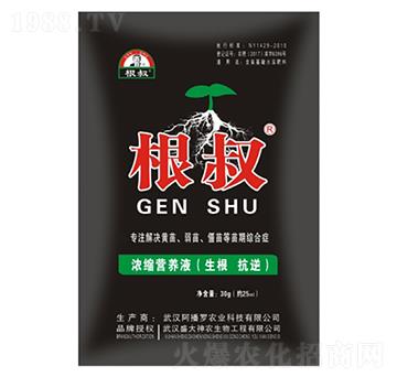 30g����-ʢ������