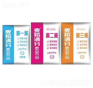 �����M��-ʢ������