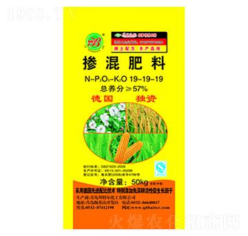 �������19-19-19-���ؠ�