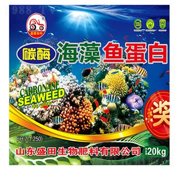 ̼ø�����~(y��)����-ʢ������