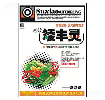 ���S�`-��������