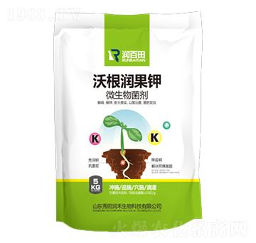 �ָ������-�����