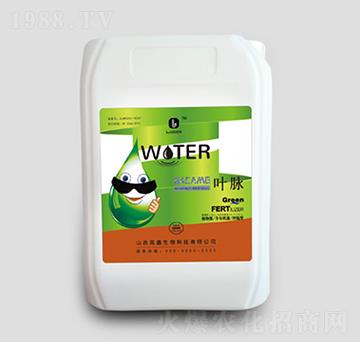 20kg桶菌鈣鎂-葉脈-嵐鑫生物