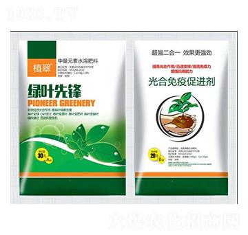 ������ߴ��M��-�����S