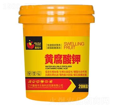 �S�����-�����S