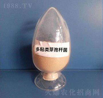 ��ճ�ѿ�ߗU�����ۄ���-��������