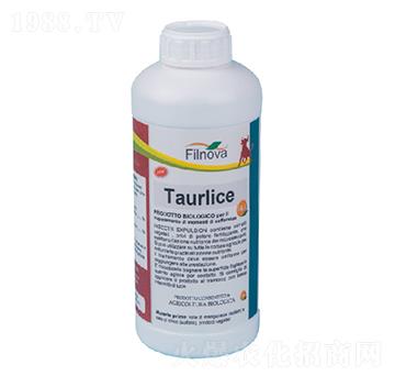 ��ʭ���Ƅ�-���Rʿ-�M(f��i)���Z