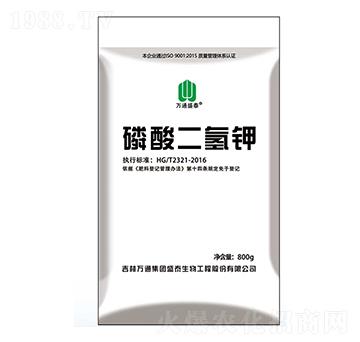 ��������-�fͨʢ̩-ʢ̩����