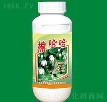 �޻�������-�޹���-�����