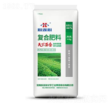 天下茶香復(fù)合肥-心連心