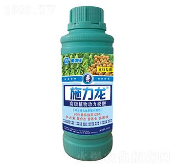 �󶹌����~���-ʩ����