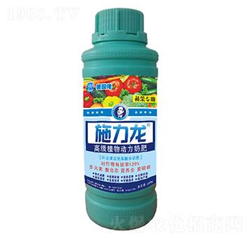 �߲ˌ����~���-ʩ����