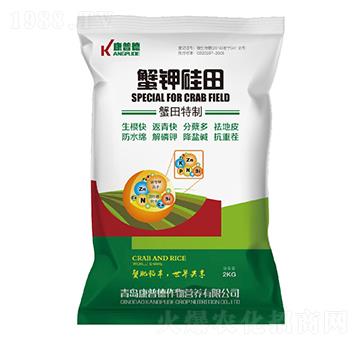 з⛹���-���յ�