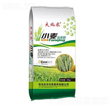 С�������-���r(n��ng)-�r(n��ng)�A