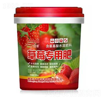 ��ݮ���÷�-ħ��-�з�