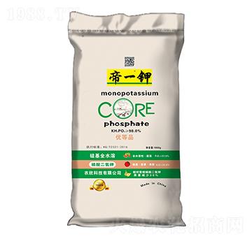 ��������-��һ�-�����