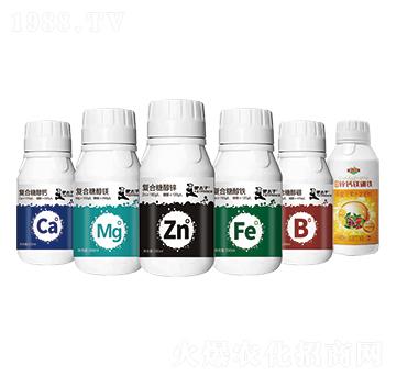 ��һԪ�ط���-�Ԡ��G��