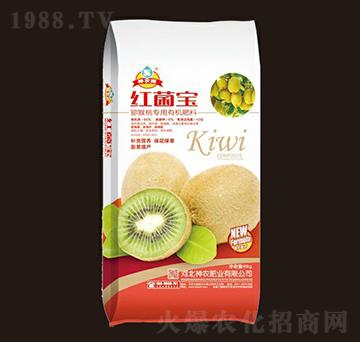 �J���Ҍ�(zhu��n)���ЙC(j��)����-�t�������r(n��ng)��-���r(n��ng)�ʘI(y��)