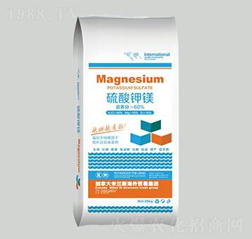 60%������V-���r(n��ng)�ʘI(y��)