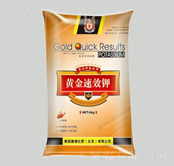 �S���-���r�ʘI(y��)