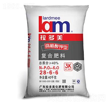 ���׌��ÏͺϷ���28-6-6-������