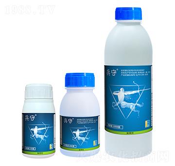 15%�f���������-����-ӯ�x