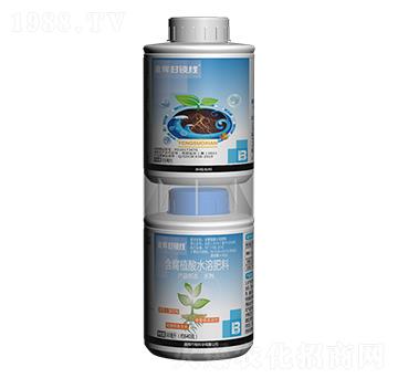 30%�����+����ֲ��ˮ�ܷ���-ӯ�x���i��-ӯ�x