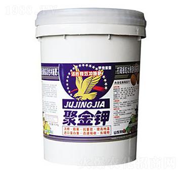 �۽��-̫�S�r��