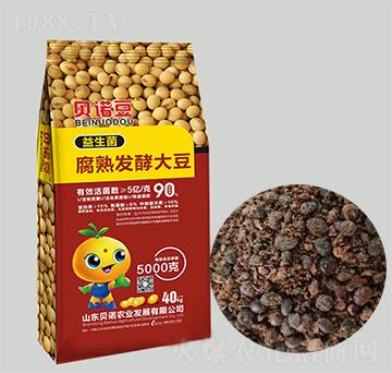 ����������l(f��)�ʹ�-ؐ�Z