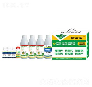 ���נ�-����