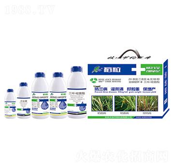 ����-����