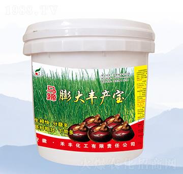 馬蹄膨大豐產(chǎn)寶-禾豐