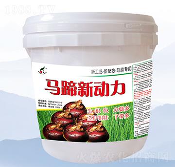 馬蹄新動(dòng)力-禾豐