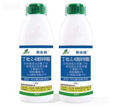 75%��������2��4���ή���֬-�[����-����