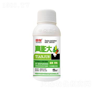 ֲ�����L��(f��)���{(di��o)�턩-�����-�￡�ʘI(y��)