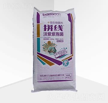 ΢�������-ƴ�����w����-���A����