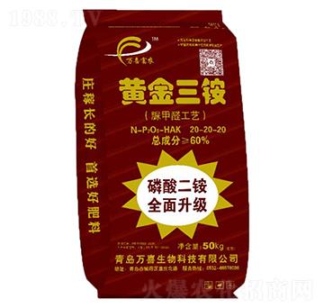 �S�����@20-20-20-�f(w��n)ϲ����