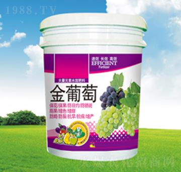 �����ћ_ʩ��-�������