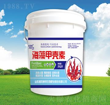 ����ך���-�������