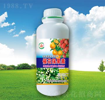 �߻�������-�������