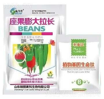 ����������L-ʩ����-ԣ��߿�