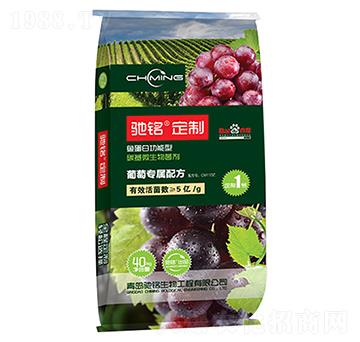 ���Ѷ��Ʒ�-�Y�����