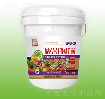 �ݲ�ѿ�ߗU��-ʢ��̩��-�f���_(d��)