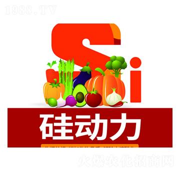 ���(d��ng)��-�f(w��n)���_(d��)