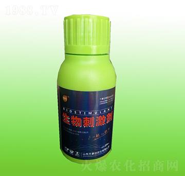 ����̼���-����-�f���_