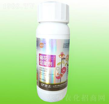 �߻��ٹ���-����-�f���_(d��)