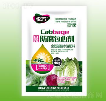 �ײ˷������Ą�-����-�f���_(d��)