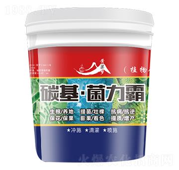 ̼����������-�S����(m��ng)-��w�r(n��ng)