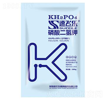 ��������-���w��-���A����