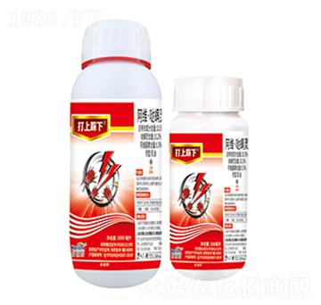 10.5%���S���}���`